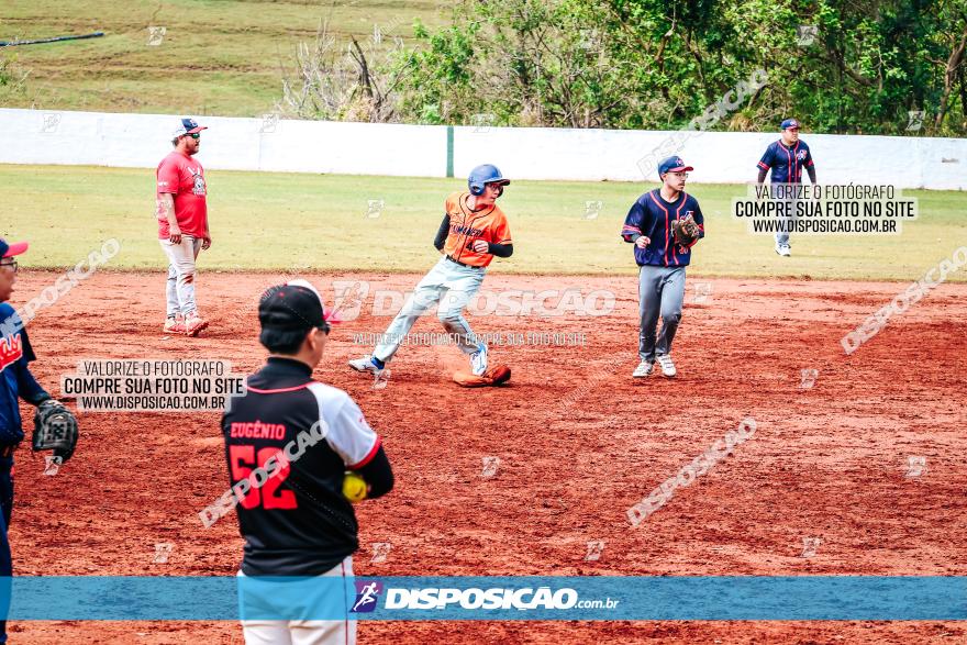 XXXII Brasileirão de Softbol