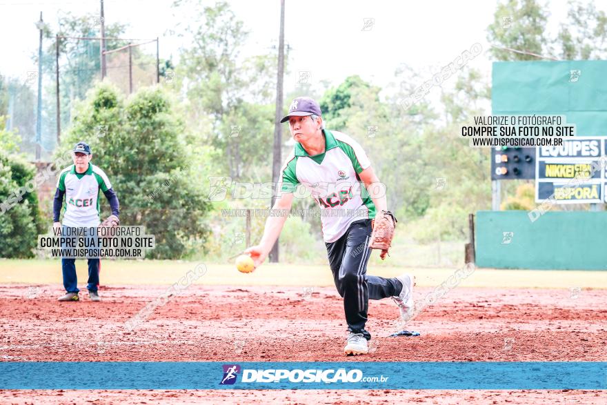 XXXII Brasileirão de Softbol