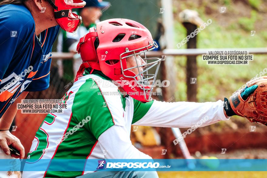 XXXII Brasileirão de Softbol