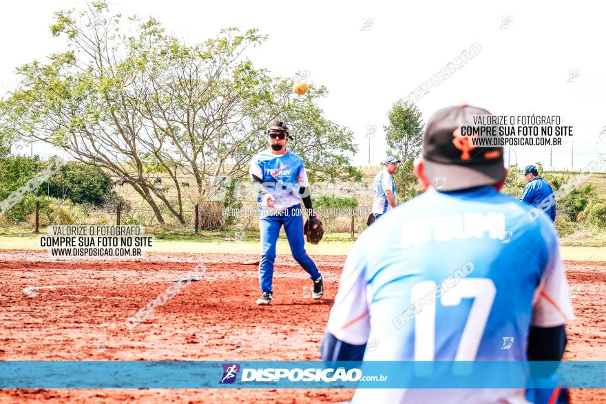 XXXII Brasileirão de Softbol