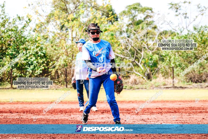 XXXII Brasileirão de Softbol