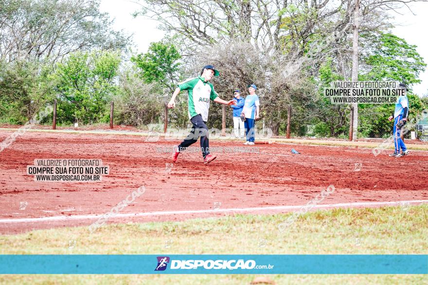 XXXII Brasileirão de Softbol