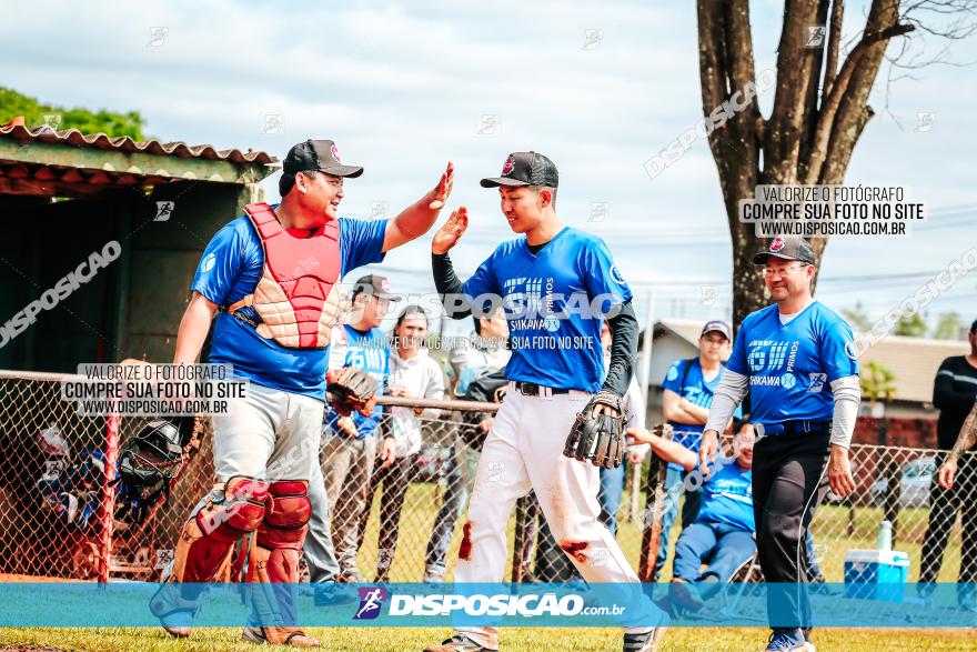 XXXII Brasileirão de Softbol