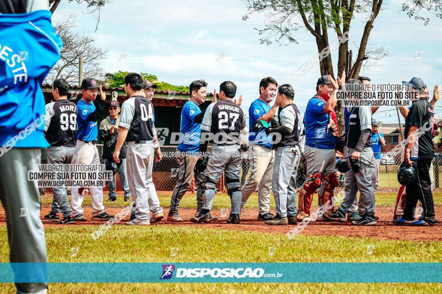 XXXII Brasileirão de Softbol