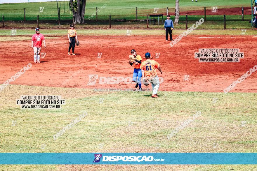 XXXII Brasileirão de Softbol