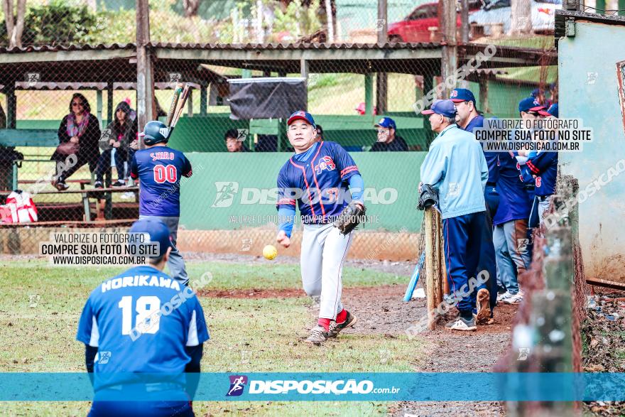 XXXII Brasileirão de Softbol