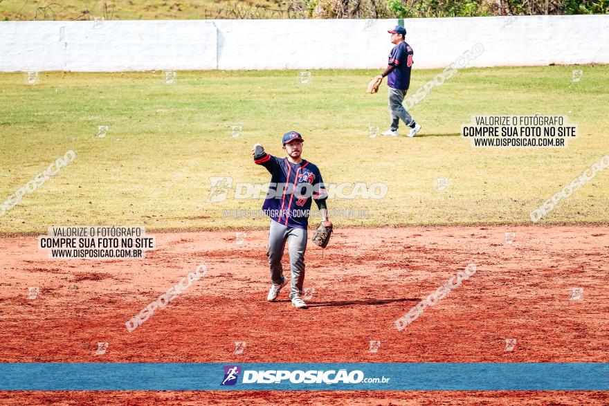 XXXII Brasileirão de Softbol