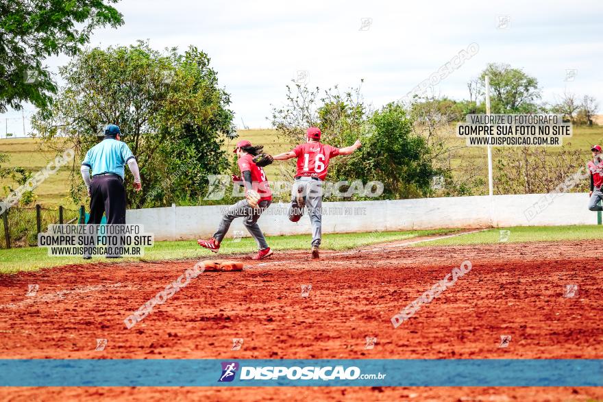 XXXII Brasileirão de Softbol