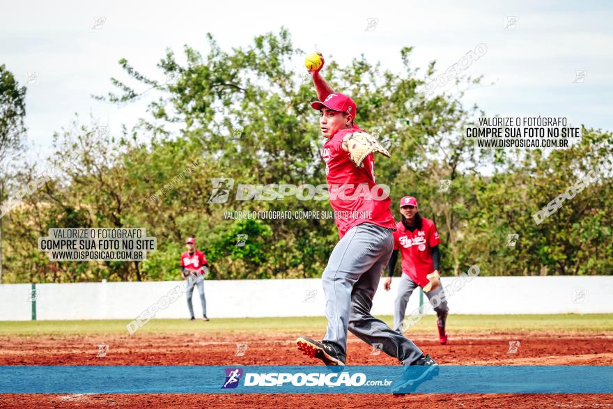 XXXII Brasileirão de Softbol