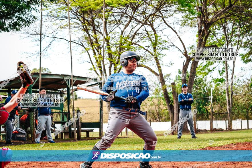 XXXII Brasileirão de Softbol