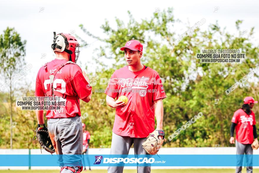 XXXII Brasileirão de Softbol