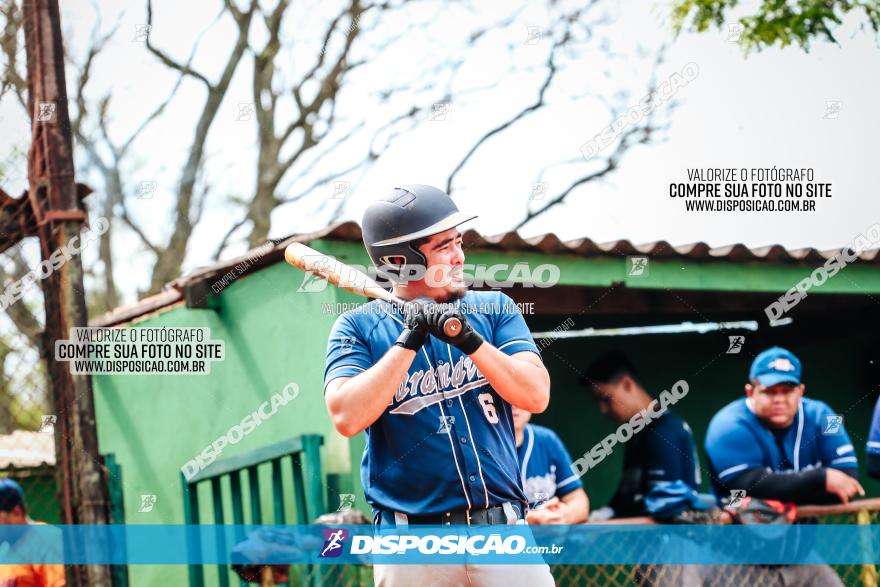 XXXII Brasileirão de Softbol