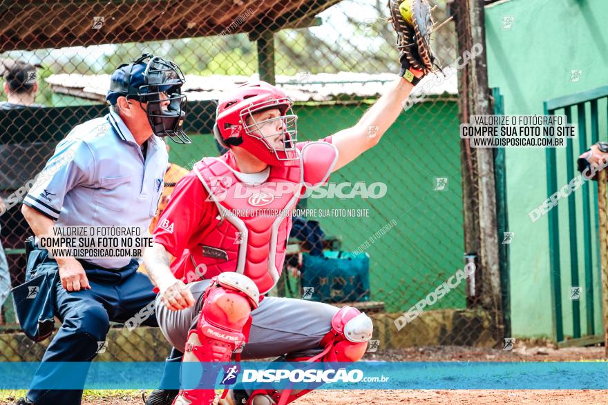 XXXII Brasileirão de Softbol