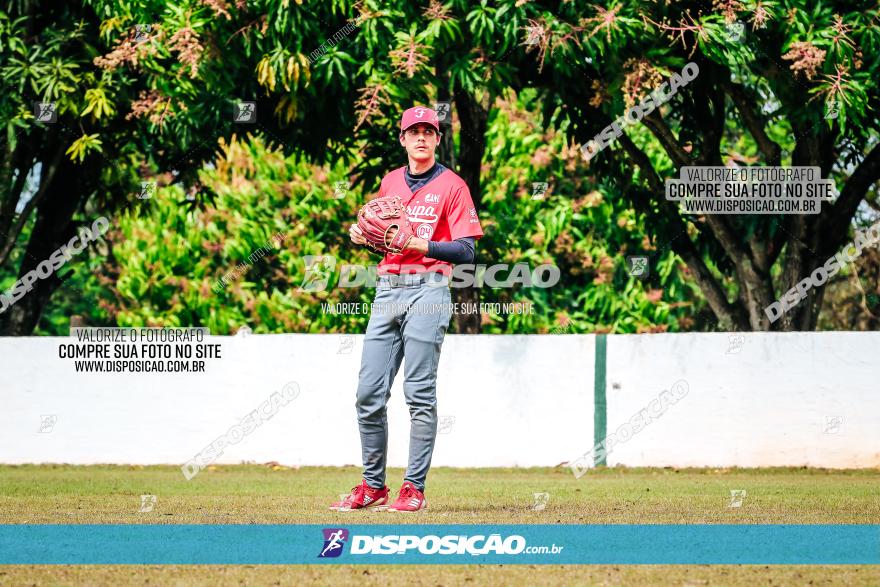 XXXII Brasileirão de Softbol