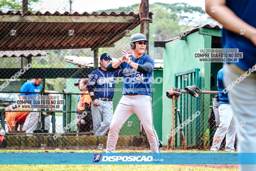 XXXII Brasileirão de Softbol