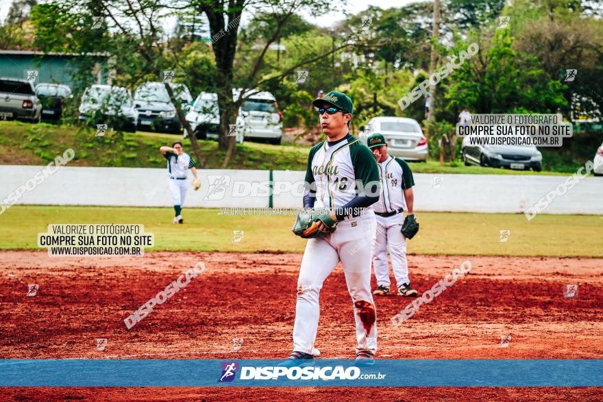 XXXII Brasileirão de Softbol