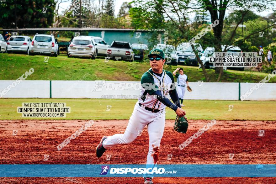 XXXII Brasileirão de Softbol