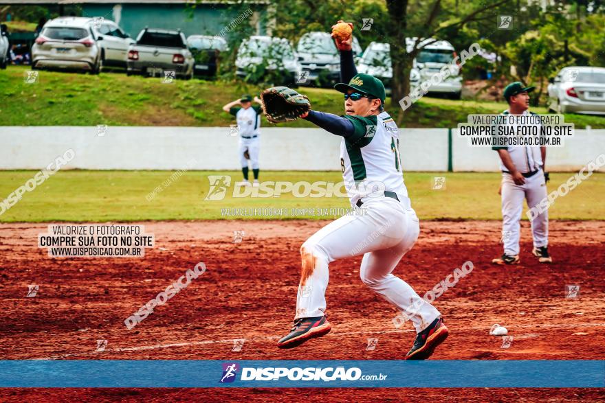 XXXII Brasileirão de Softbol