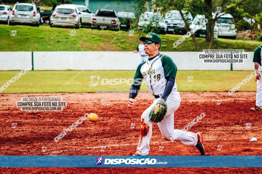 XXXII Brasileirão de Softbol