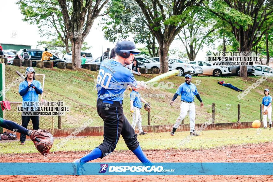 XXXII Brasileirão de Softbol