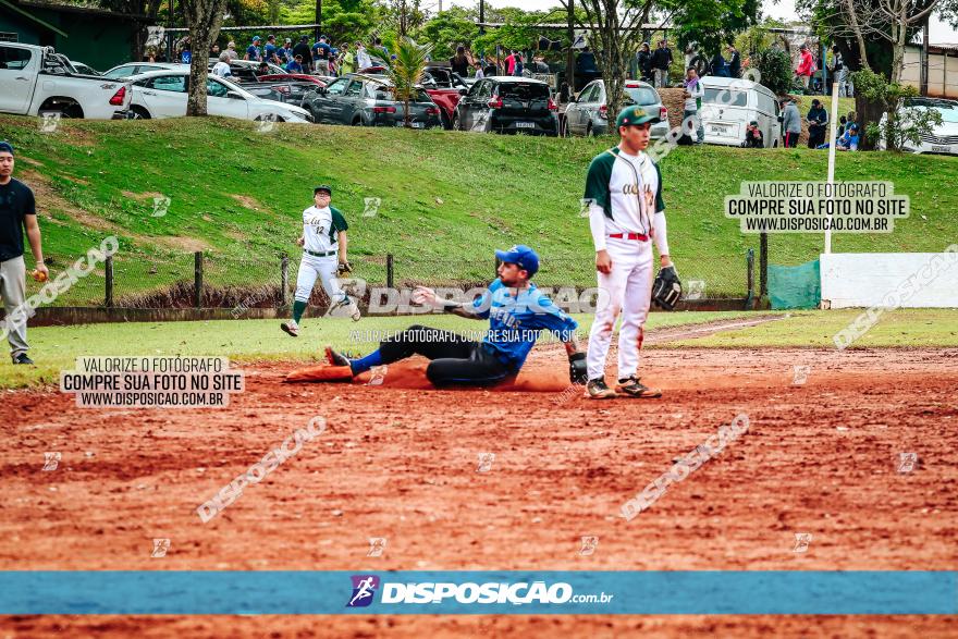 XXXII Brasileirão de Softbol