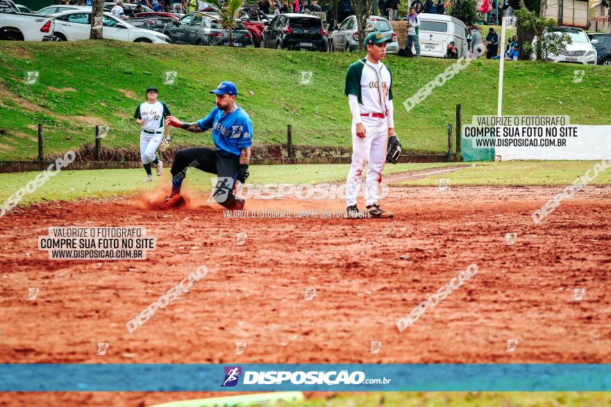 XXXII Brasileirão de Softbol