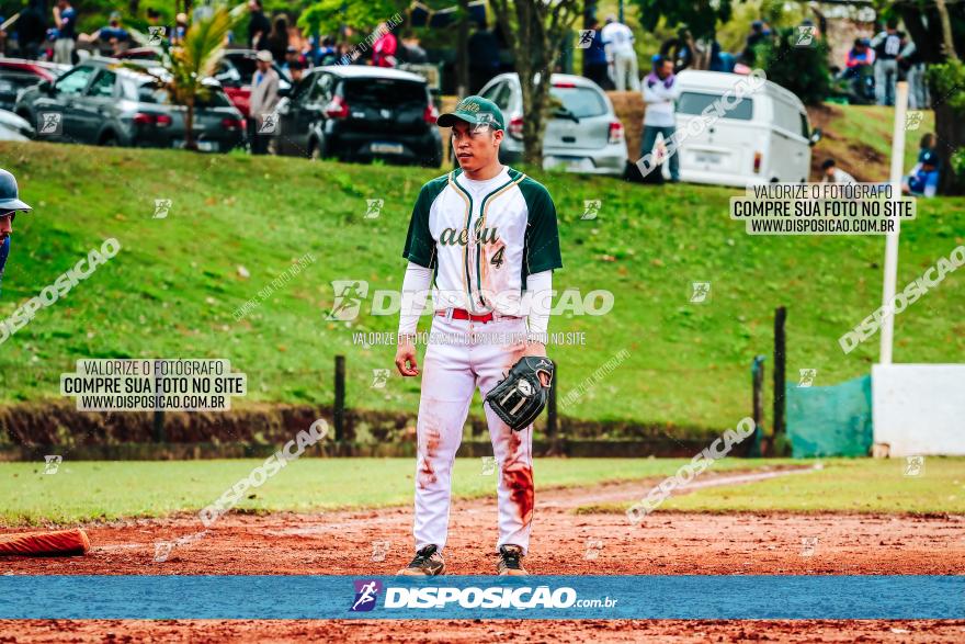 XXXII Brasileirão de Softbol