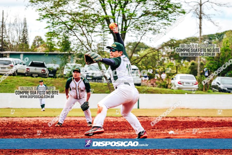 XXXII Brasileirão de Softbol