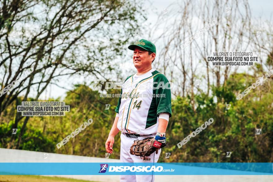 XXXII Brasileirão de Softbol