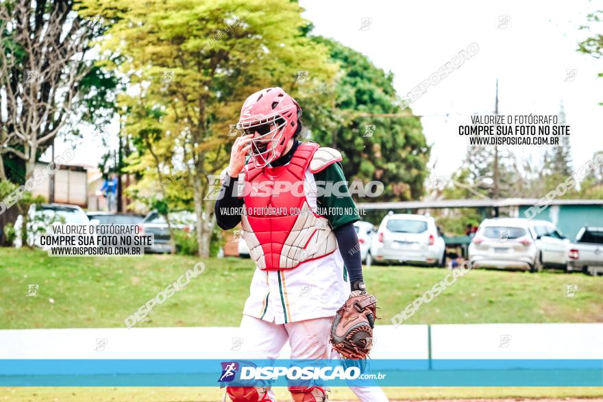 XXXII Brasileirão de Softbol