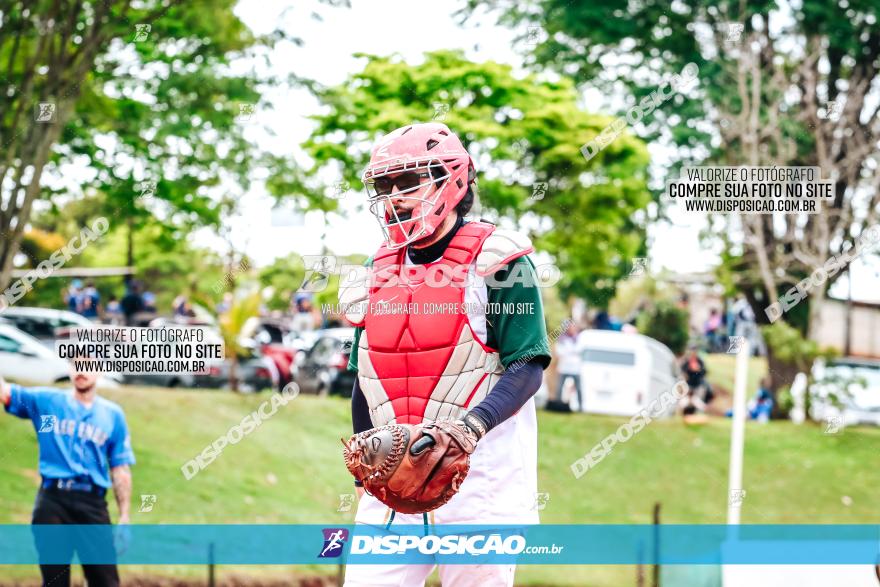 XXXII Brasileirão de Softbol