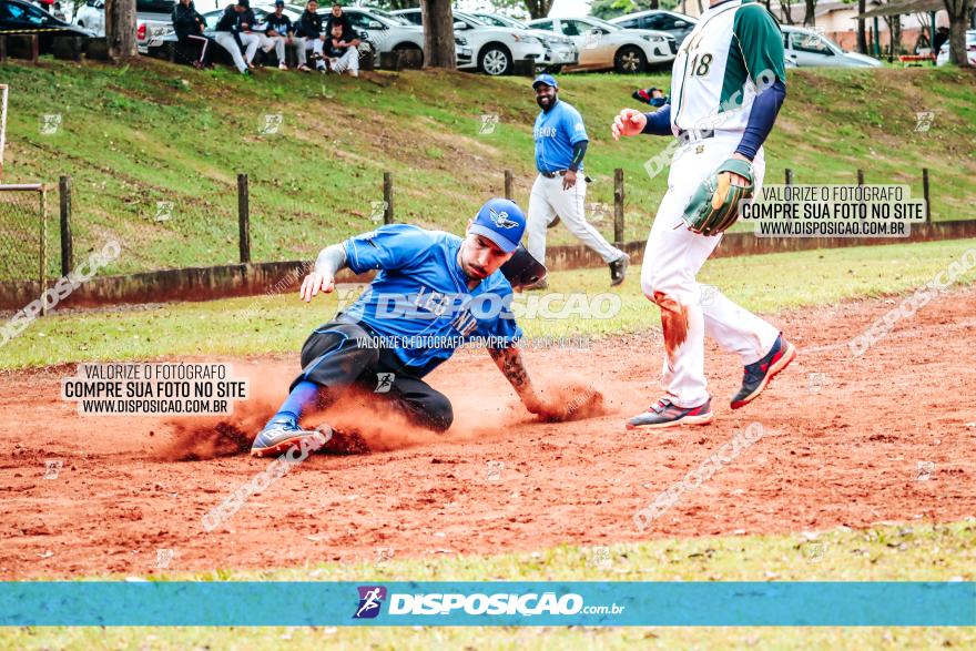 XXXII Brasileirão de Softbol