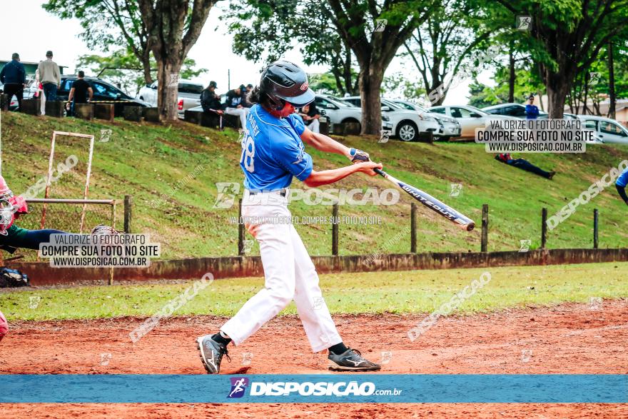 XXXII Brasileirão de Softbol