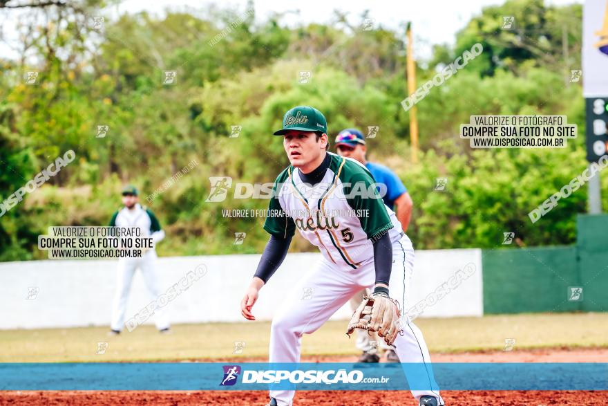 XXXII Brasileirão de Softbol