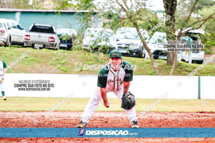 XXXII Brasileirão de Softbol