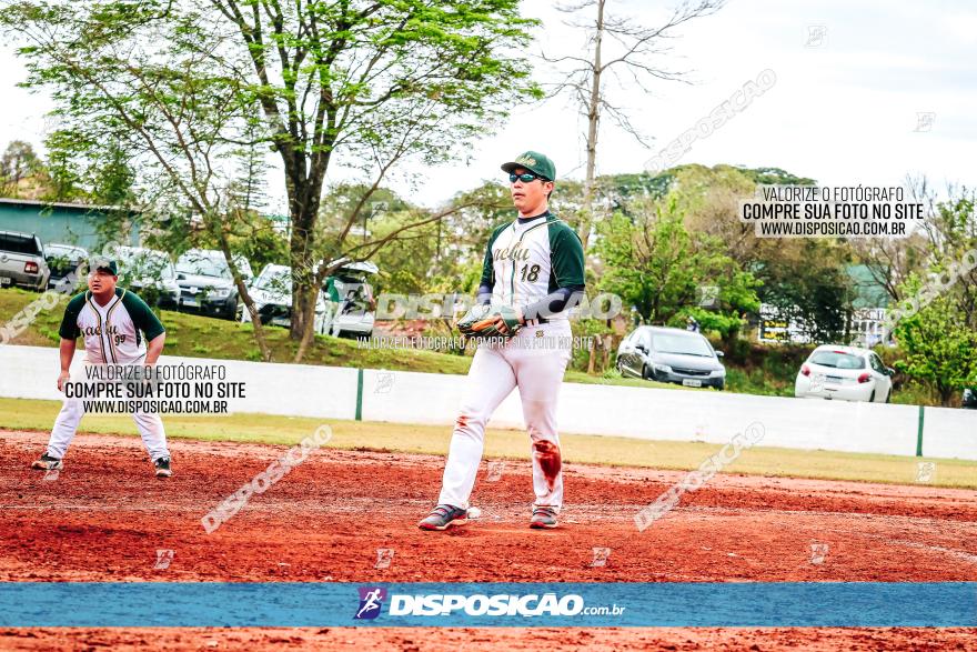 XXXII Brasileirão de Softbol