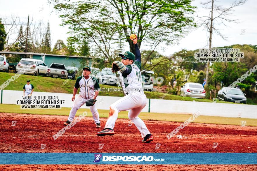 XXXII Brasileirão de Softbol