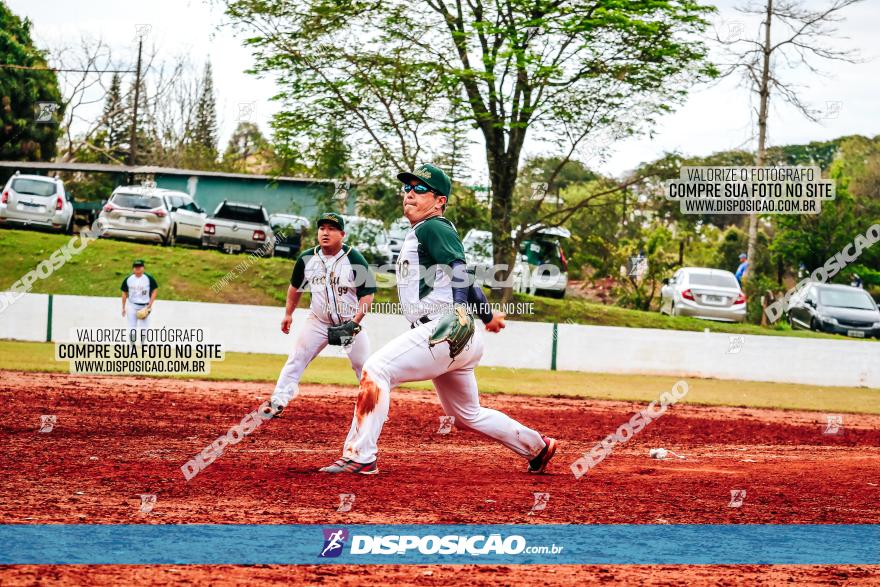 XXXII Brasileirão de Softbol