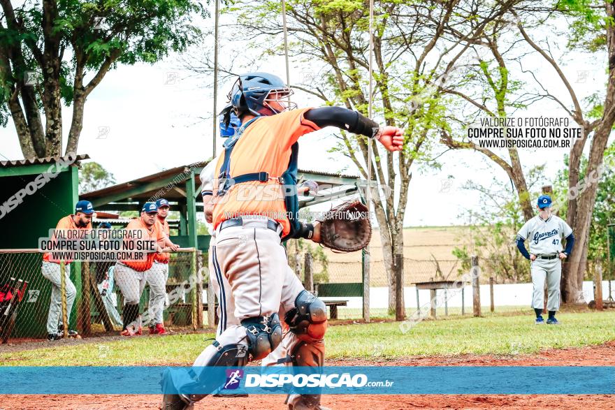 XXXII Brasileirão de Softbol