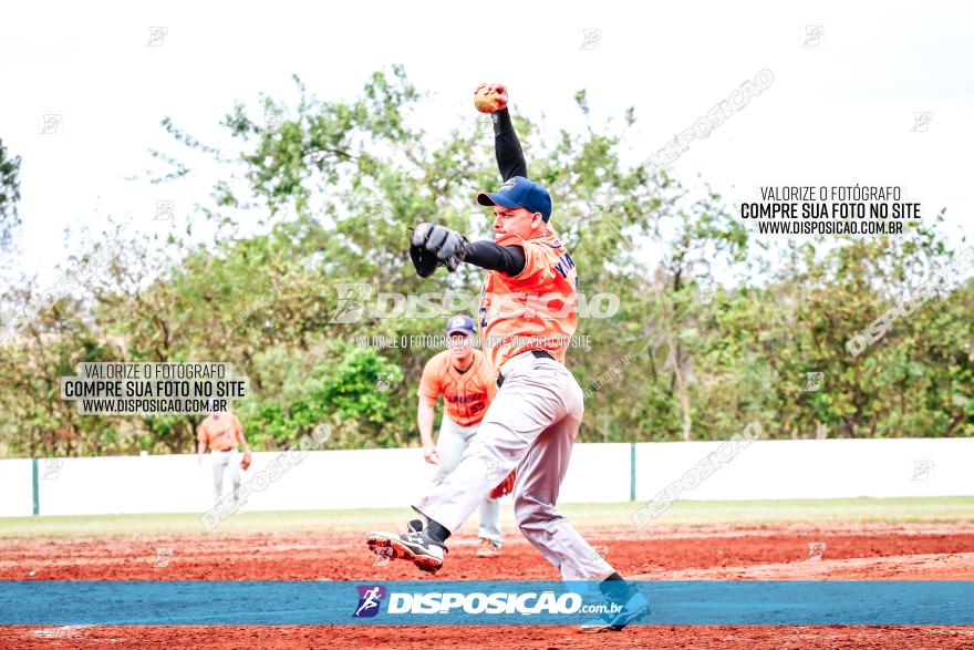 XXXII Brasileirão de Softbol