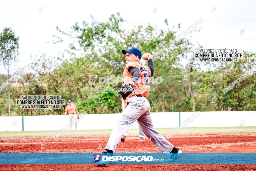 XXXII Brasileirão de Softbol