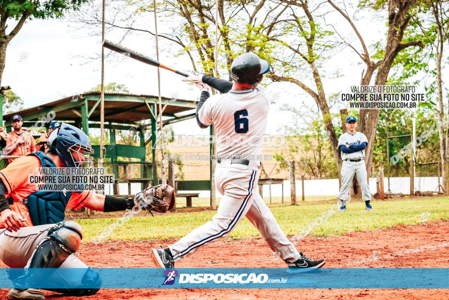 XXXII Brasileirão de Softbol