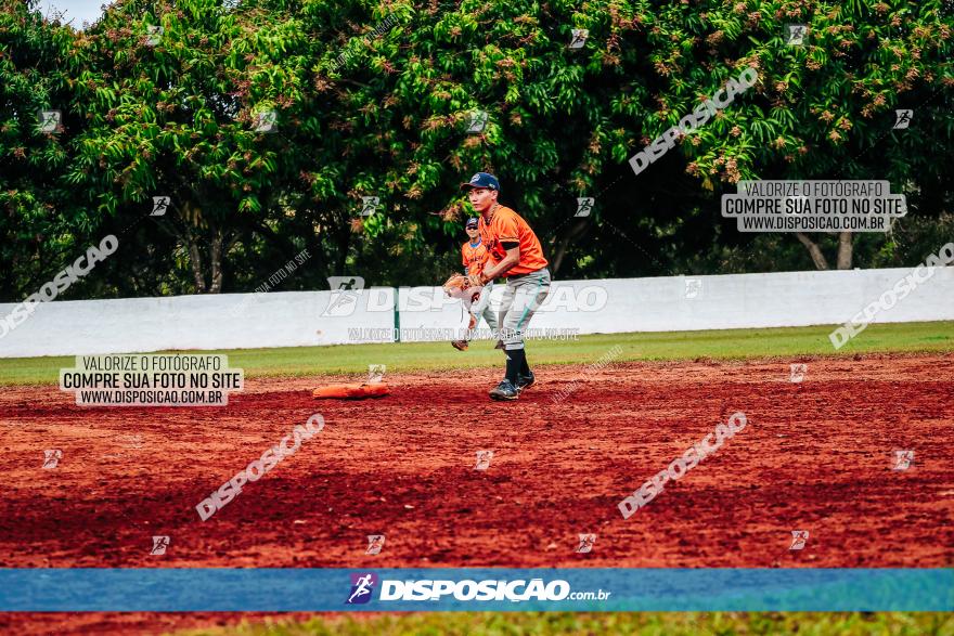 XXXII Brasileirão de Softbol