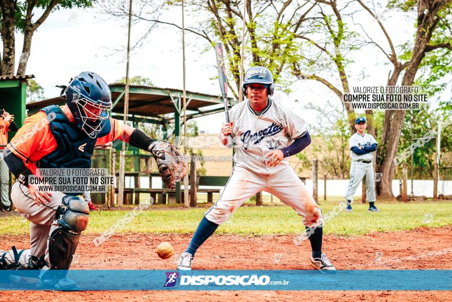 XXXII Brasileirão de Softbol