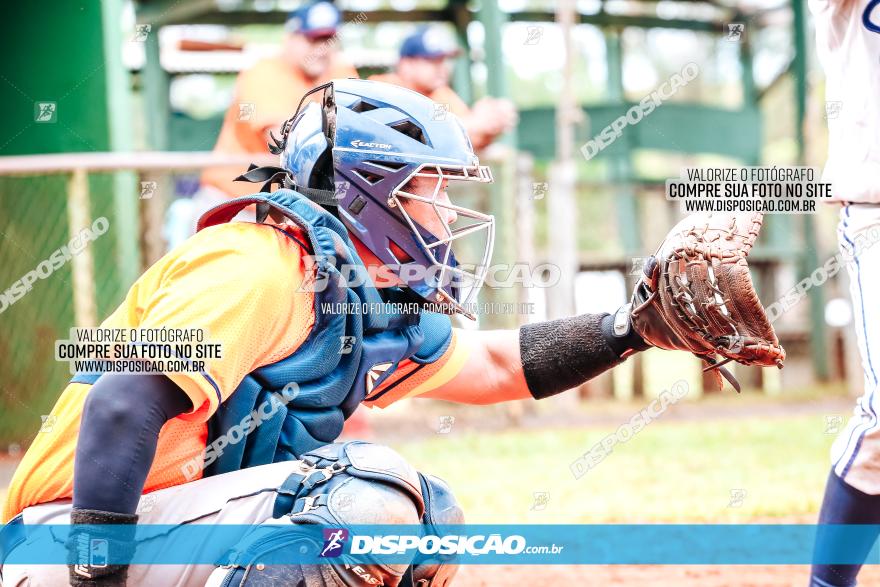 XXXII Brasileirão de Softbol