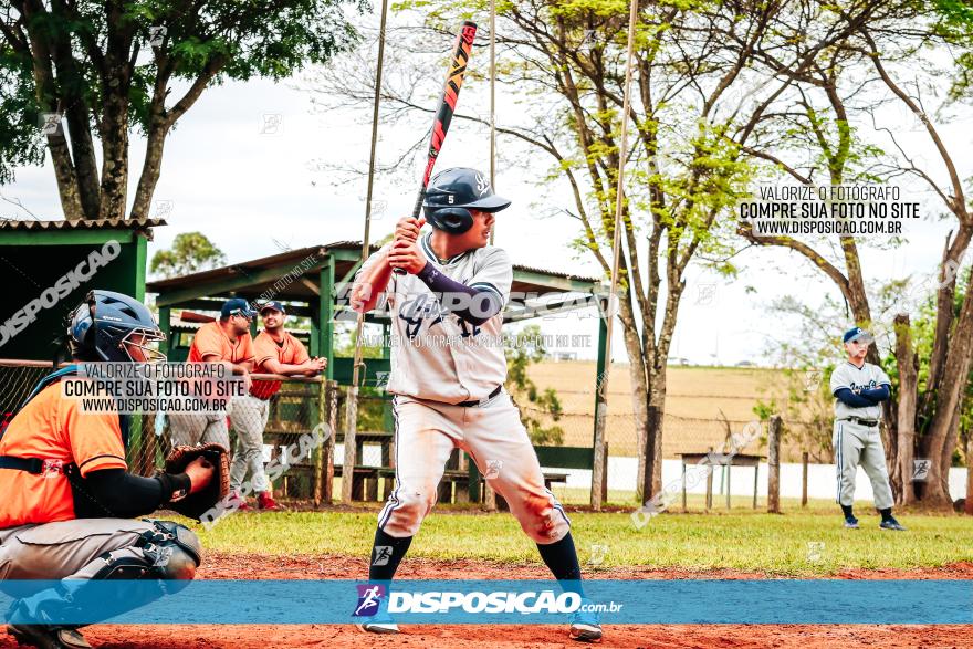 XXXII Brasileirão de Softbol