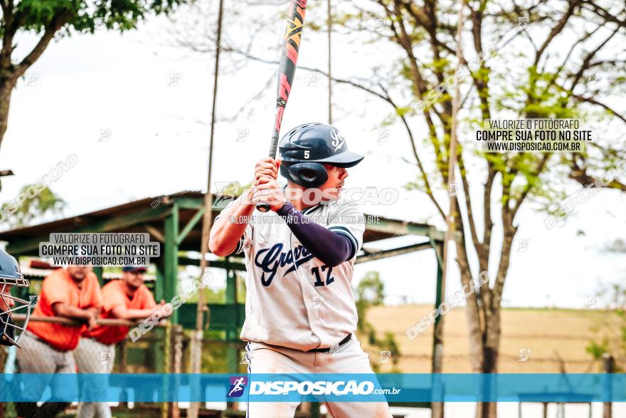 XXXII Brasileirão de Softbol