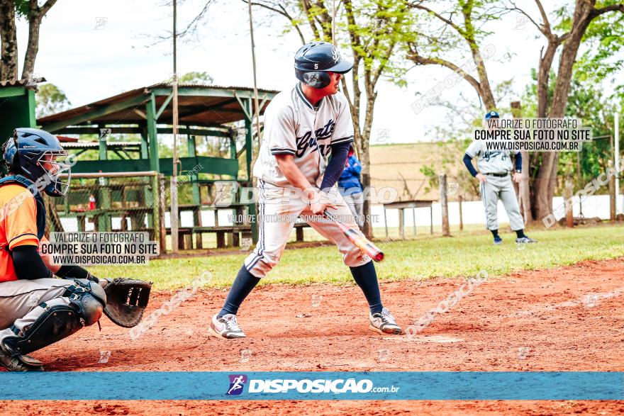 XXXII Brasileirão de Softbol