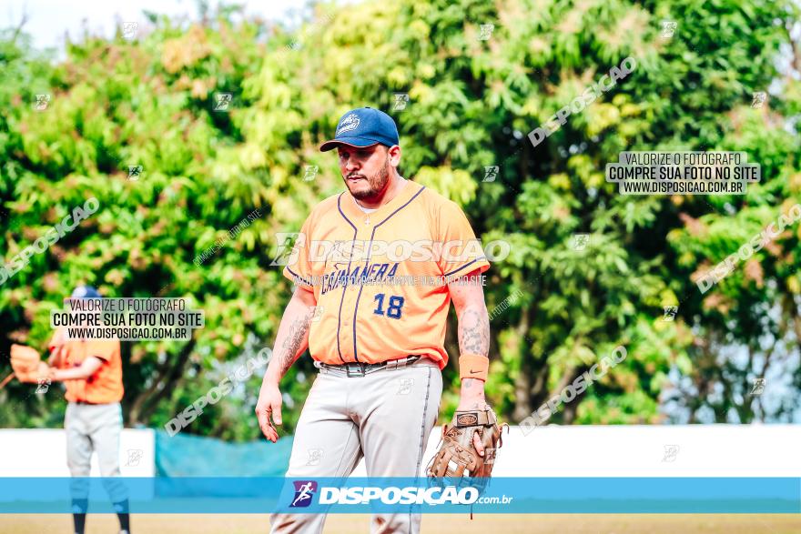 XXXII Brasileirão de Softbol