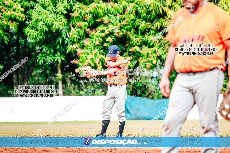 XXXII Brasileirão de Softbol